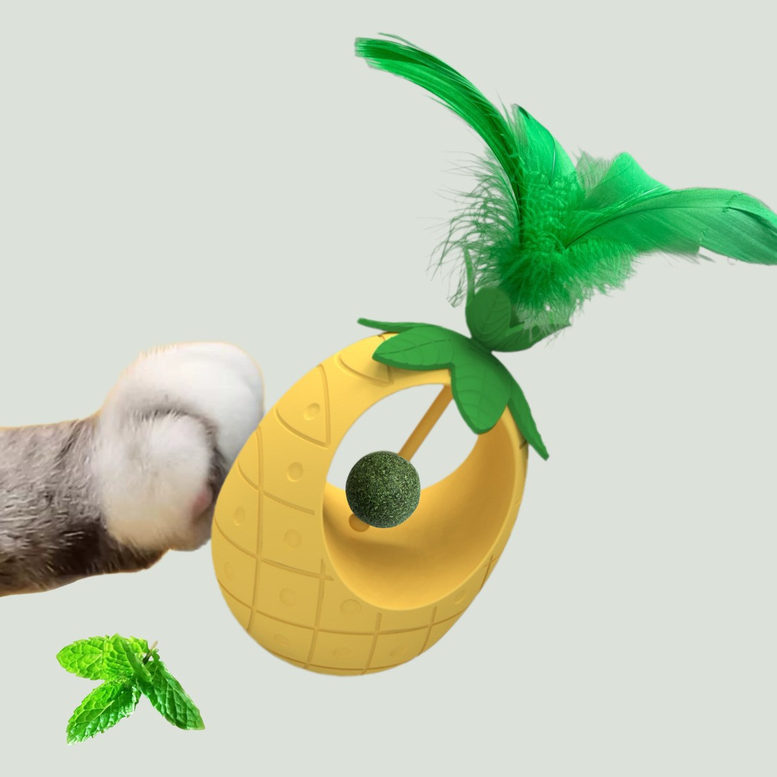 Pet Supplies In Amazon - New Hot Cat Toys Amazon Mint