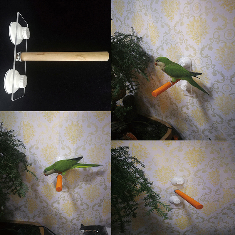1/2ps Parrot Pet Raw Standing  - đánh giá và giá Pet X Supplies & Tack Howell Mi