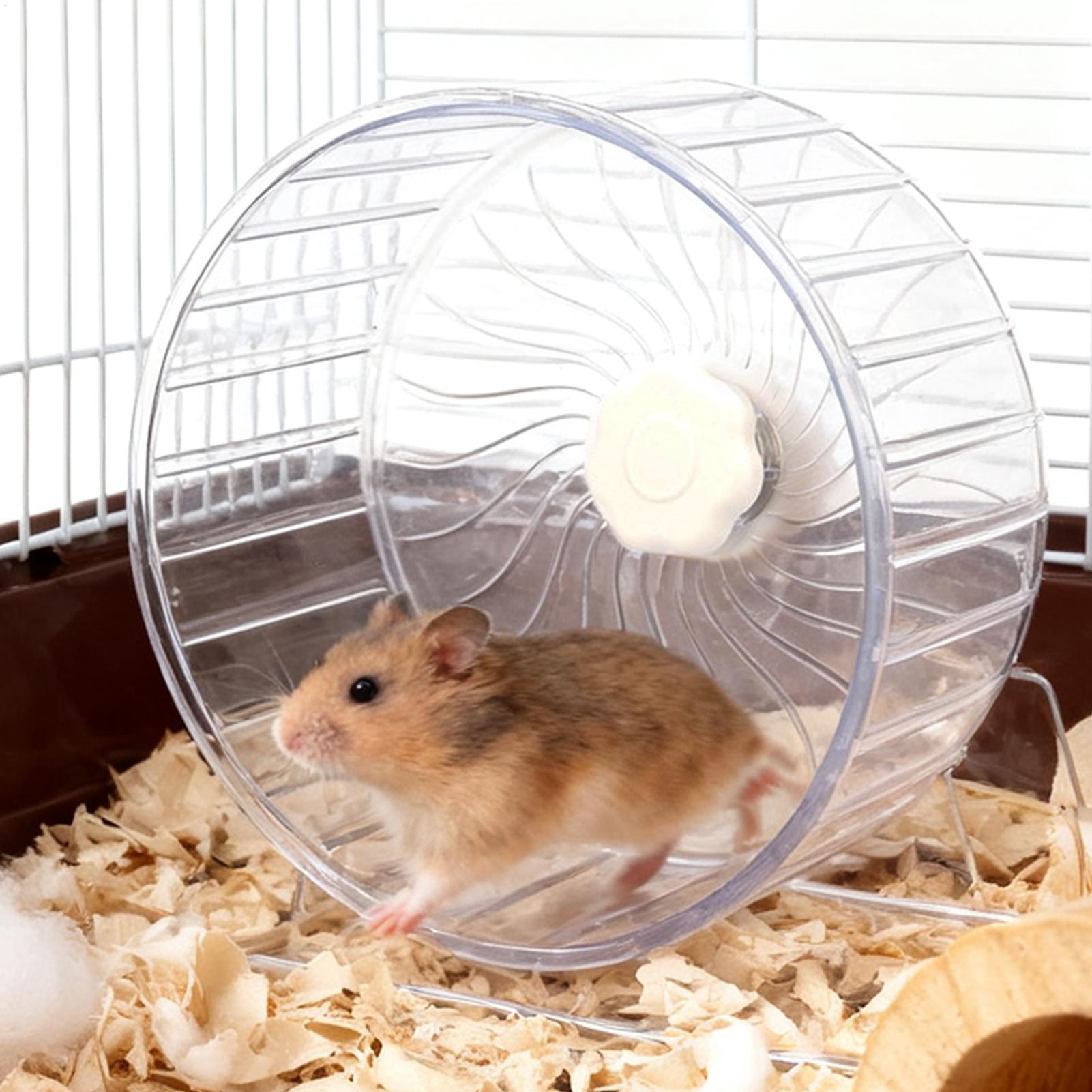 Hamster Running Sport Transpar - đánh giá và giá Hamster Cage Wheel