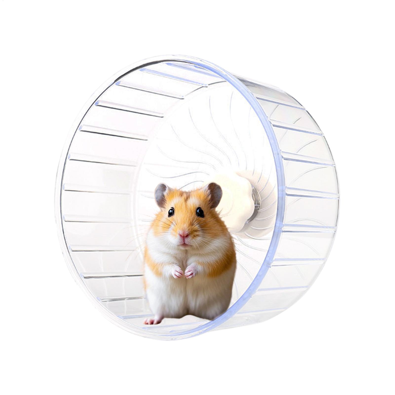 Hamster Running Sport Transpar - đánh giá và giá Hamster Cage Wheel