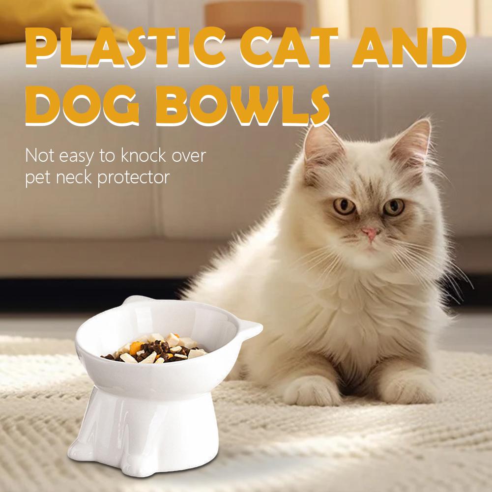 Black Cat Bowl Amazon Plastic  - đánh giá và giá Pet Supplies In Amazon