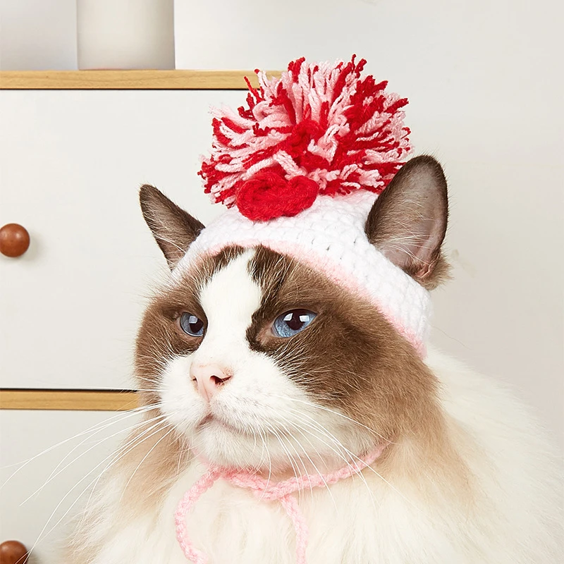 Factory direct sales pet knitt - đánh giá và giá Pet Supplies In Amazon