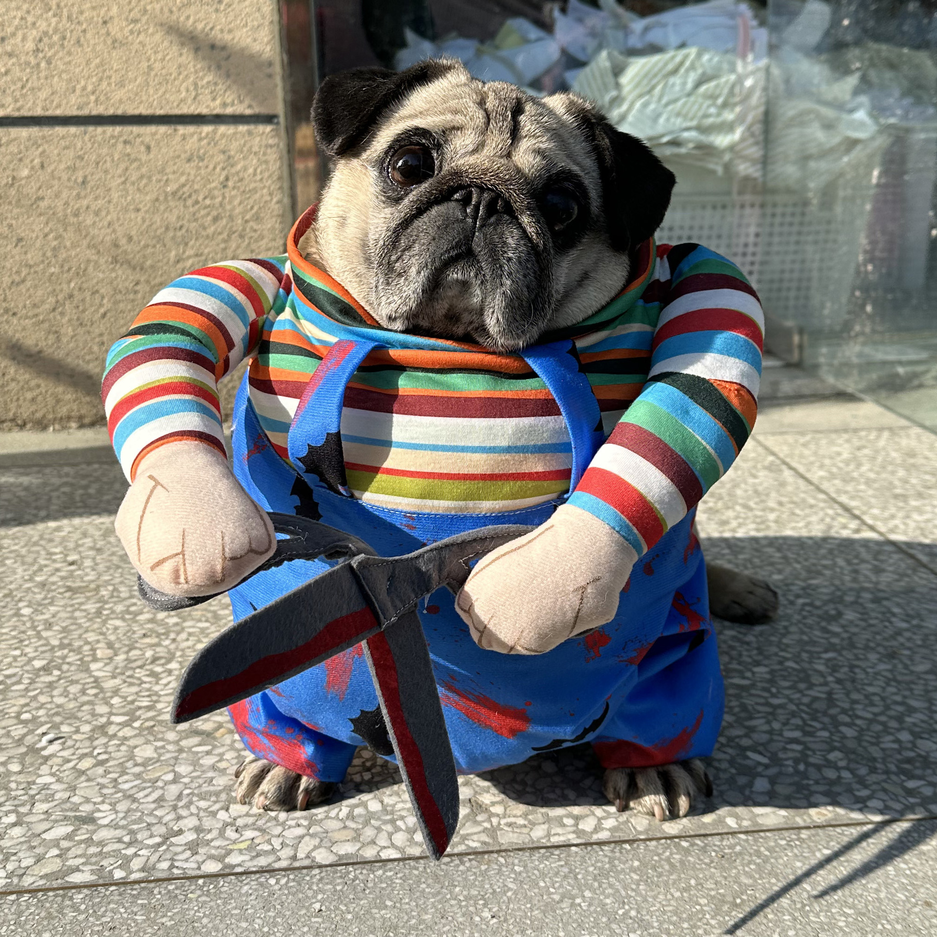 Halloween Amazon Scissors Hand - đánh giá và giá Pet Supplies In Amazon