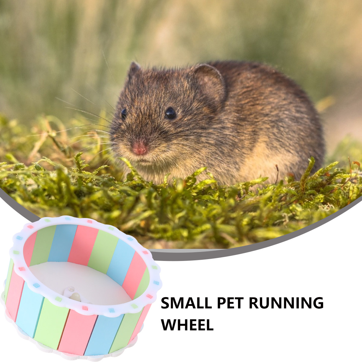 Small Pets Running Wheel Color - đánh giá và giá Hamster Cage Wheel