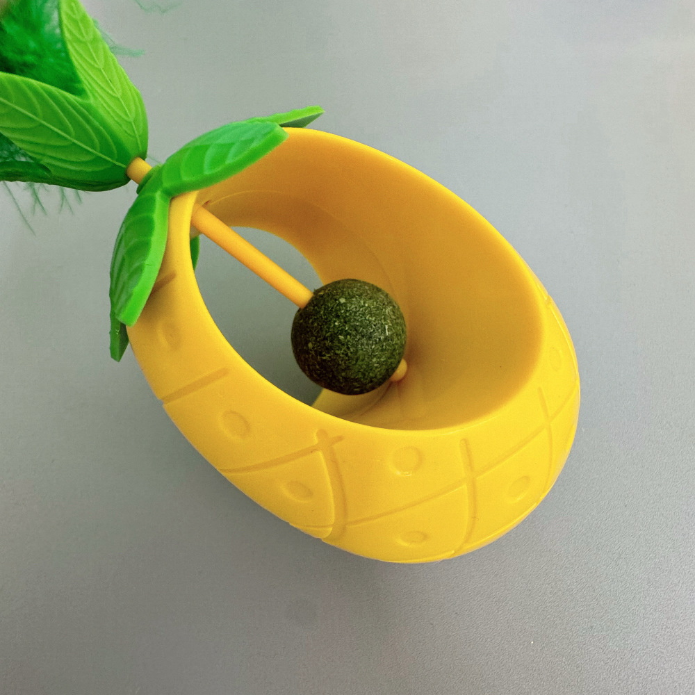 New Hot Cat Toys Amazon Mint B - đánh giá và giá Pet Supplies In Amazon