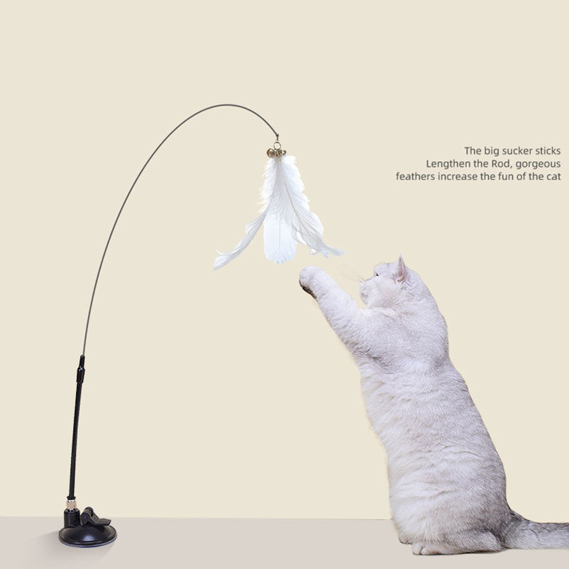 New powerful suction cat-teasi - đánh giá và giá Pet Supplies In Amazon