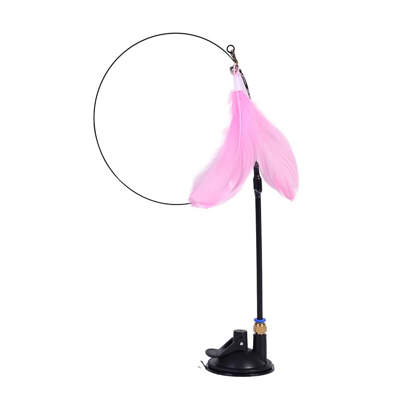 New powerful suction cat-teasi - đánh giá và giá Pet Supplies In Amazon