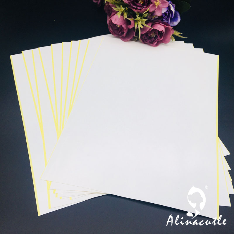 10PC X A4 Double Sided Tape St - đánh giá và giá Pet X Supplies & Tack Howell Mi