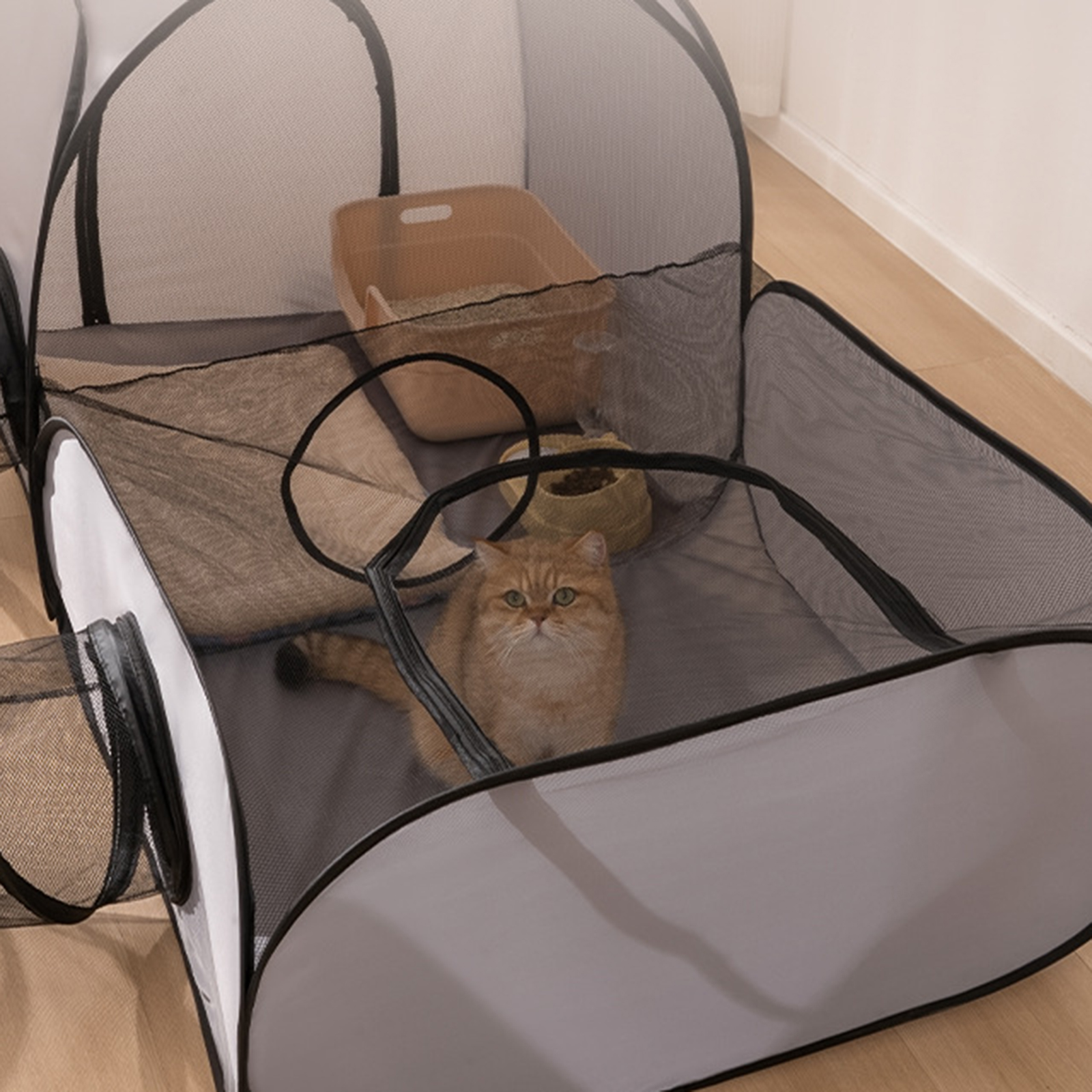 Cat Tube Tunnel Cage House Fol - đánh giá và giá Cat Tunnel Toy