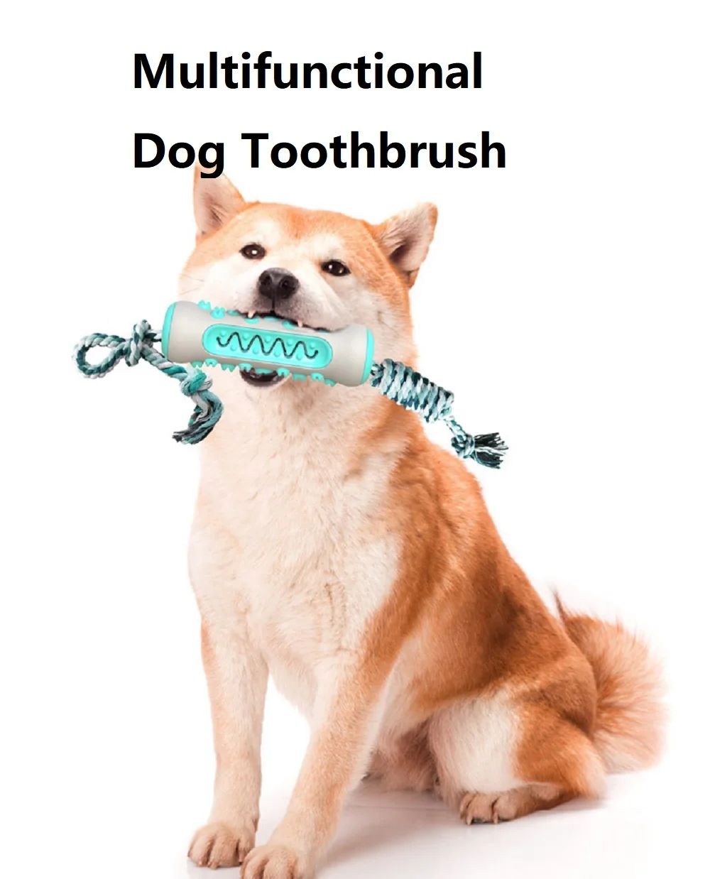 Pet Supplies Amazon Pop Dog To - đánh giá và giá Pet Supplies In Amazon