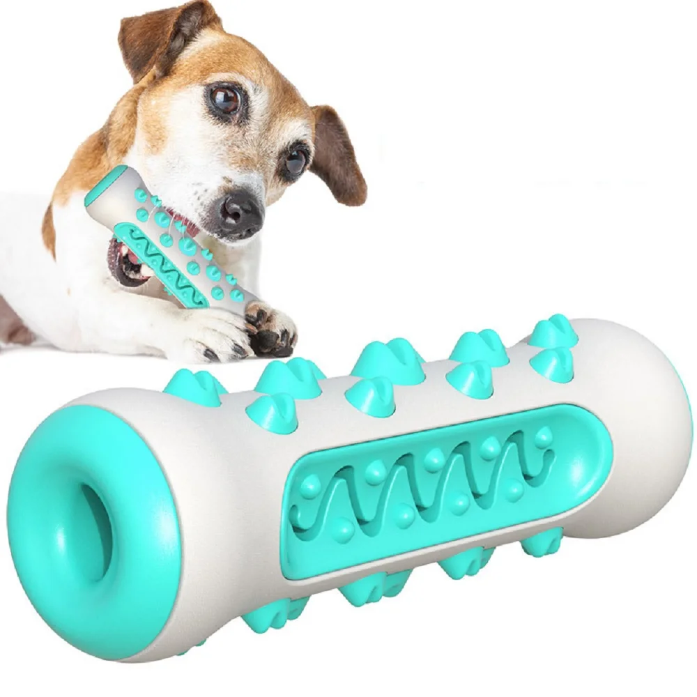 Pet Supplies Amazon Pop Dog To - đánh giá và giá Pet Supplies In Amazon