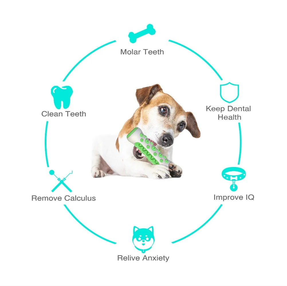 Pet Supplies Amazon Pop Dog To - đánh giá và giá Pet Supplies In Amazon