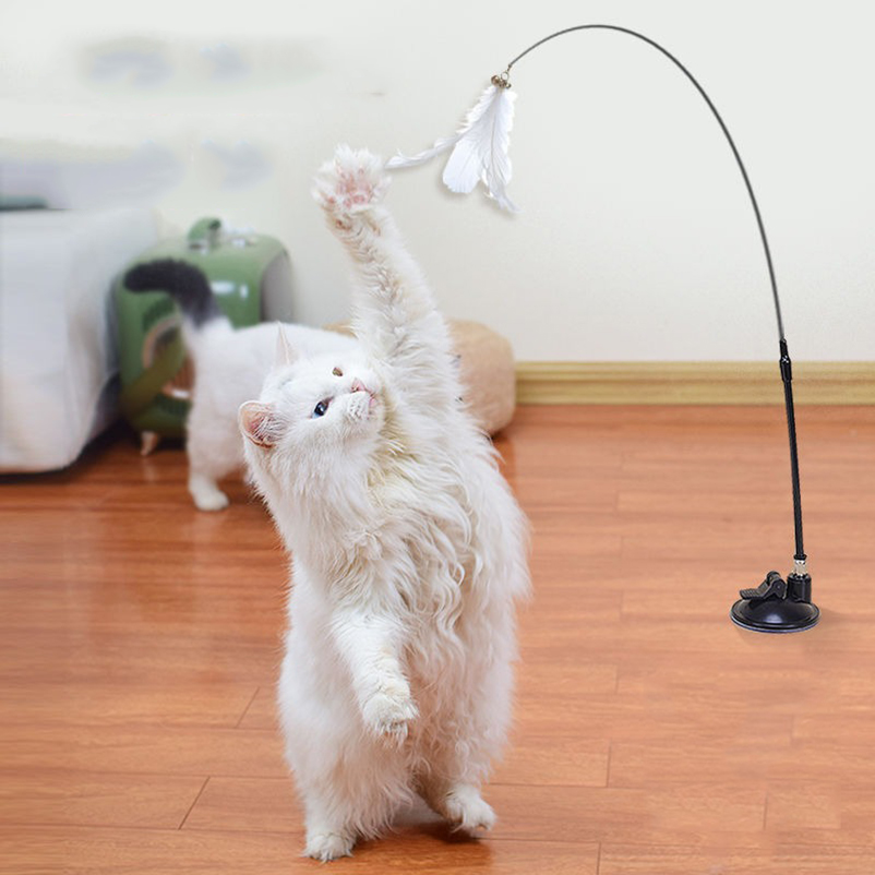 New powerful suction cat-teasi - đánh giá và giá Pet Supplies In Amazon