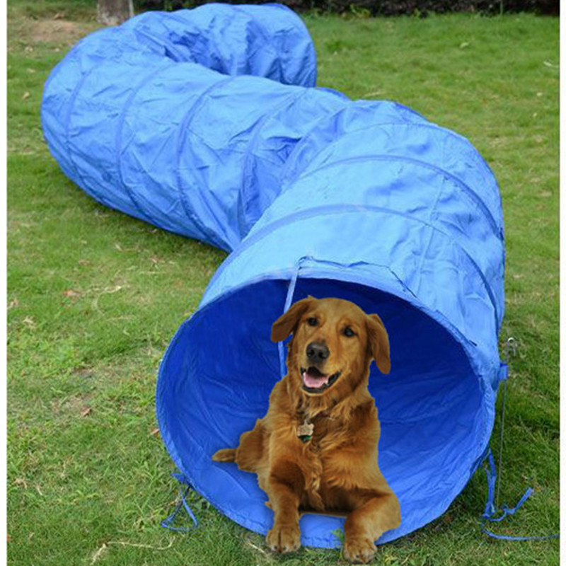 Dog Agility Training Equipment - đánh giá và giá Cat Tunnel Toy
