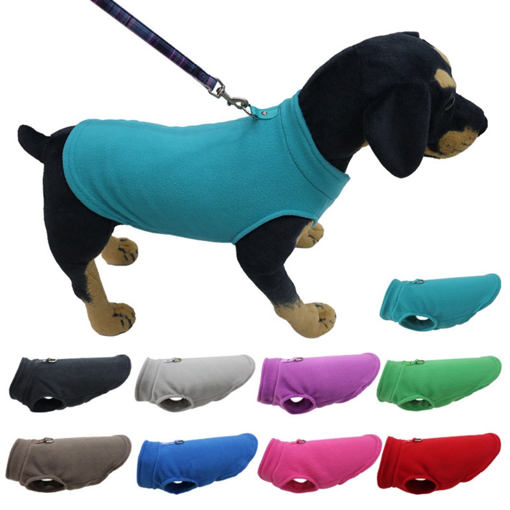 Europe, America, Amazon pet cl - đánh giá và giá Pet Supplies In Amazon